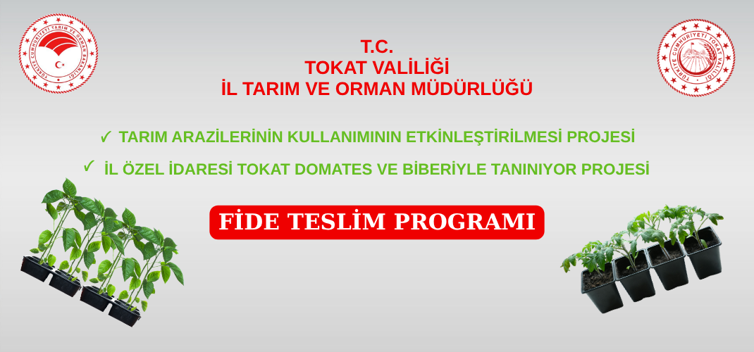 TAKE Projesi ve İl Özel İdaresi fide desteği kapsamında Fide Teslimatları Gerçekleştirildi.